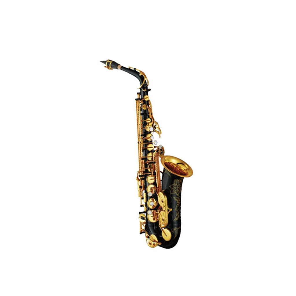 Alto Saxophone Set with Mouth Piece Reed R988