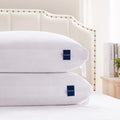 King Size Set of 2 Adjustable Hybrid Pillow F5062