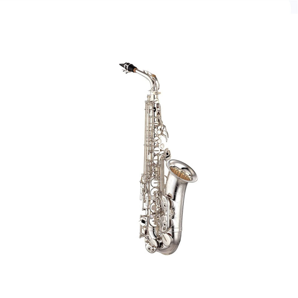 Alto Saxophone Set with Mouth Piece Reed R988
