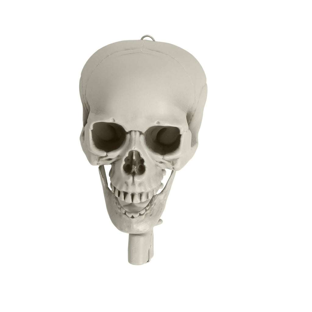 Life Size Poseable Skeleton with Movable Joints G7249