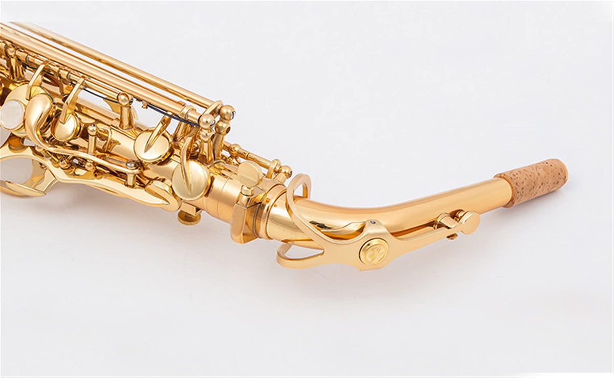 Alto Saxophone Set with Mouth Piece Reed R988