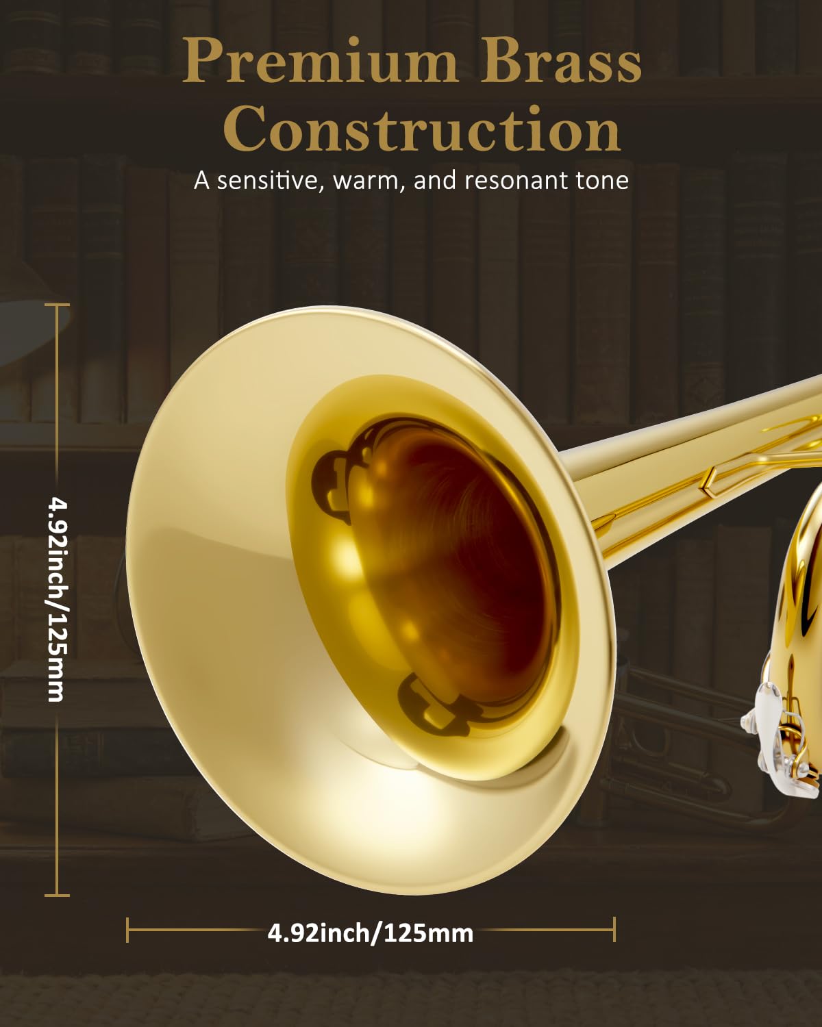 Bb Standard Trumpet Set Y96299