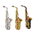 Alto Saxophone Set with Mouth Piece Reed R988
