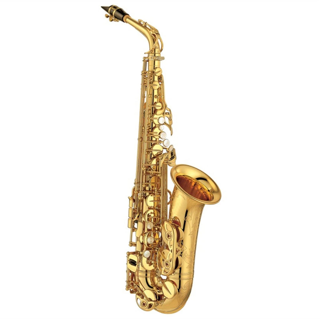 Alto Saxophone Set with Mouth Piece Reed R988