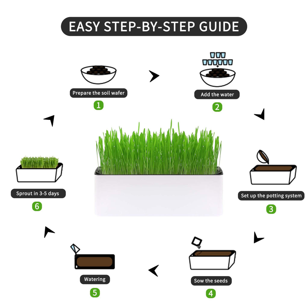 Indoor Cat Grass with Organic Seed Mix Rectangular Planter F64605