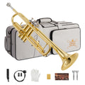 Bb Standard Trumpet Set Y96299