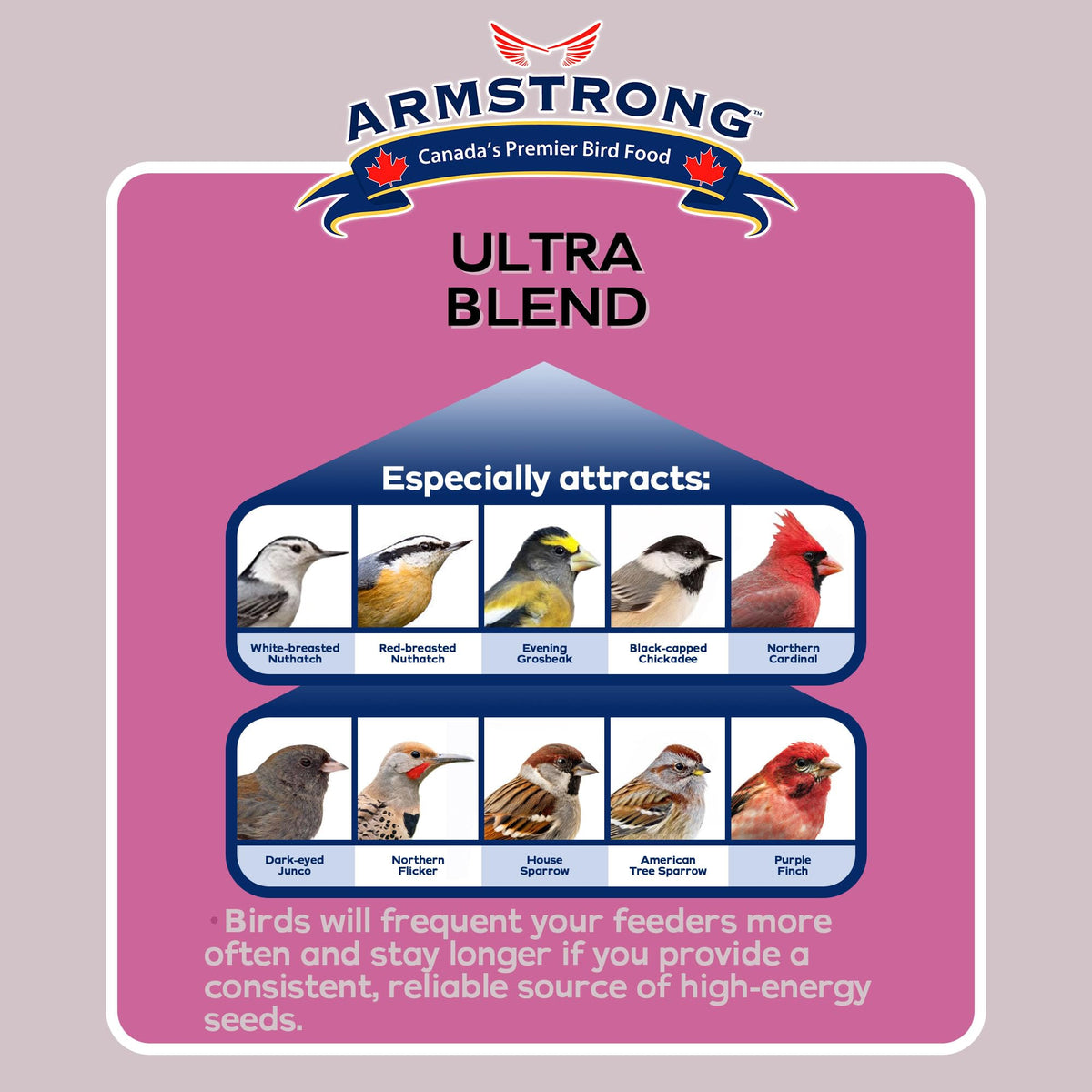 Wild Bird Food Ultra Blend 20 Pound Pail W174