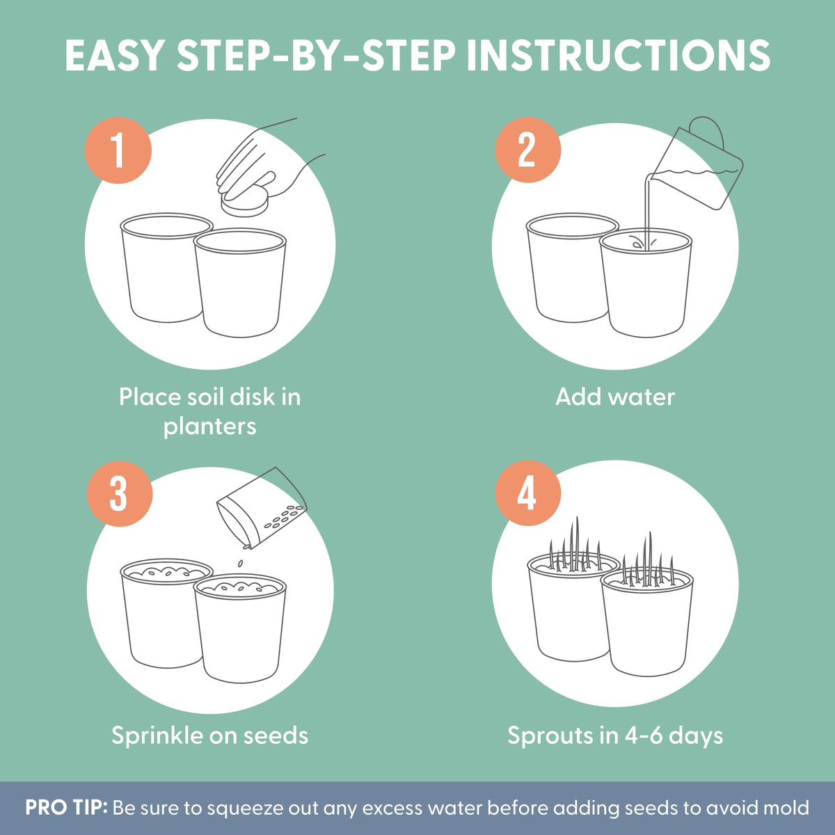 Organic Cat Grass Growing Kit with Seed, Soil and Two Ceramic Planters W374904