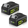 20V Max 5.0Ah Lithium Battery 2 Pack J3145