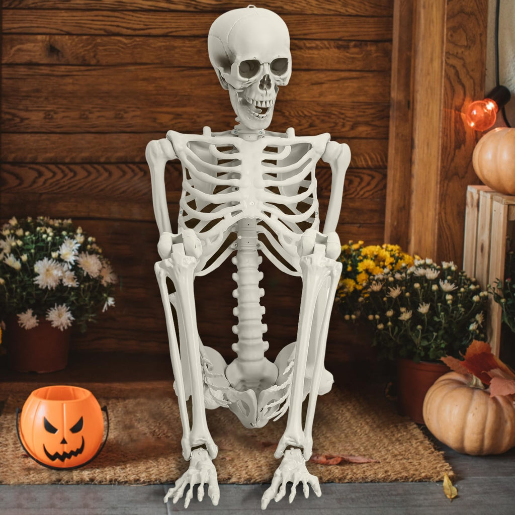 Life Size Poseable Skeleton with Movable Joints G7249