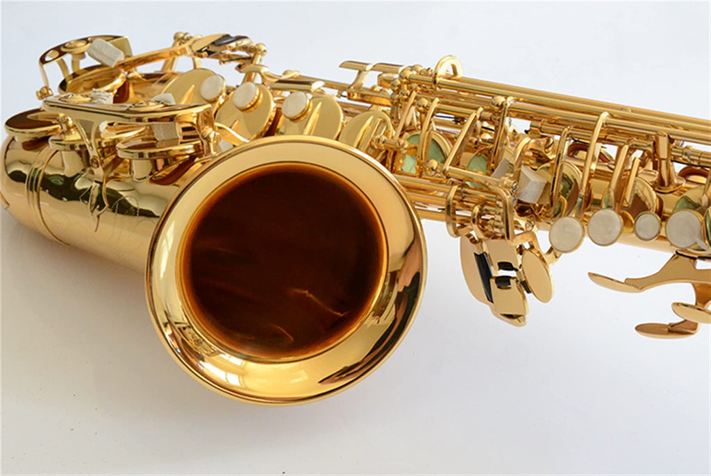 Alto Saxophone Set with Mouth Piece Reed R988