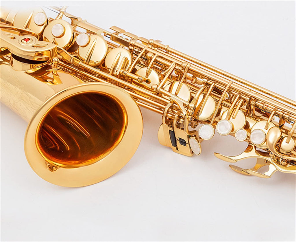Alto Saxophone Set with Mouth Piece Reed R988