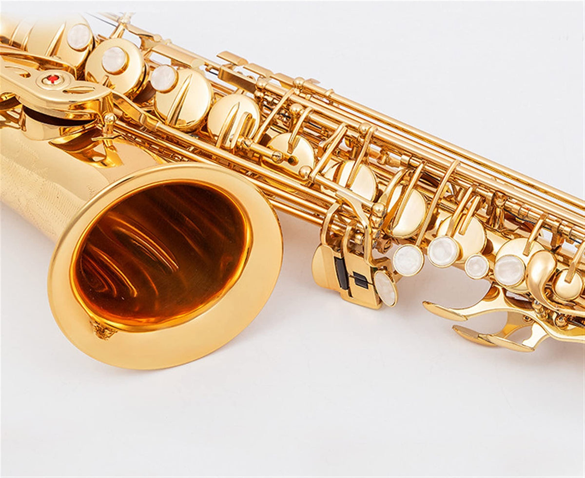 Alto Saxophone Set with Mouth Piece Reed R988