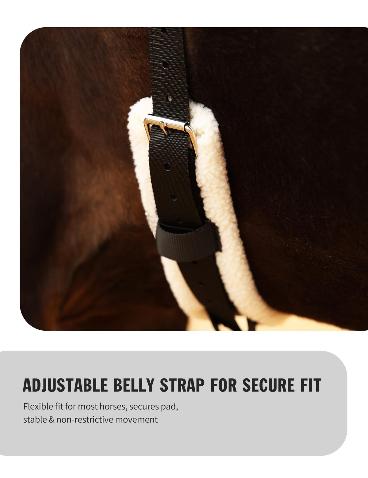 Western Bareback Pad with Girth S531