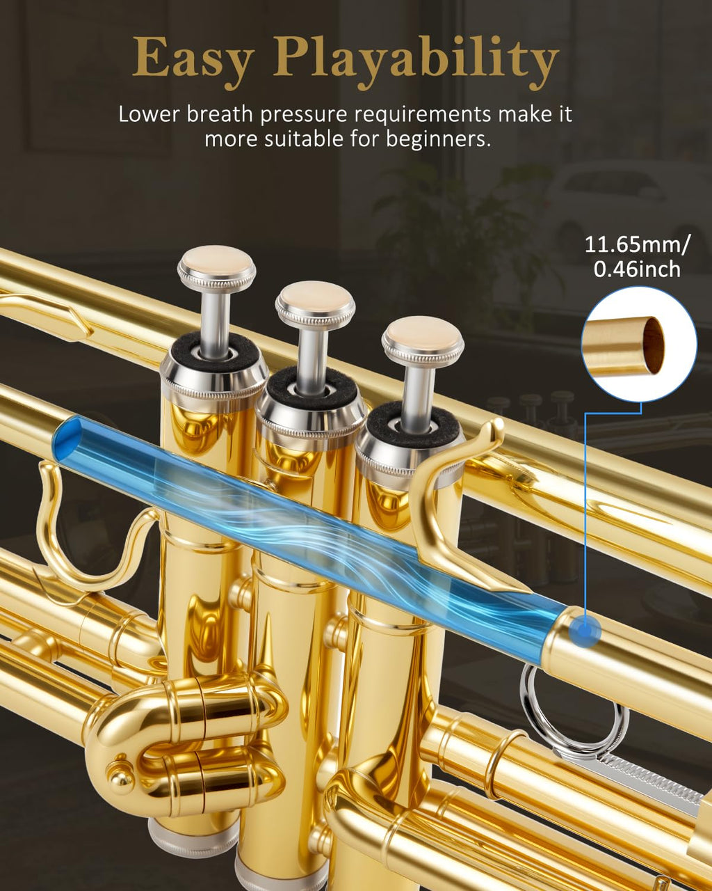 Bb Standard Trumpet Set Y96299