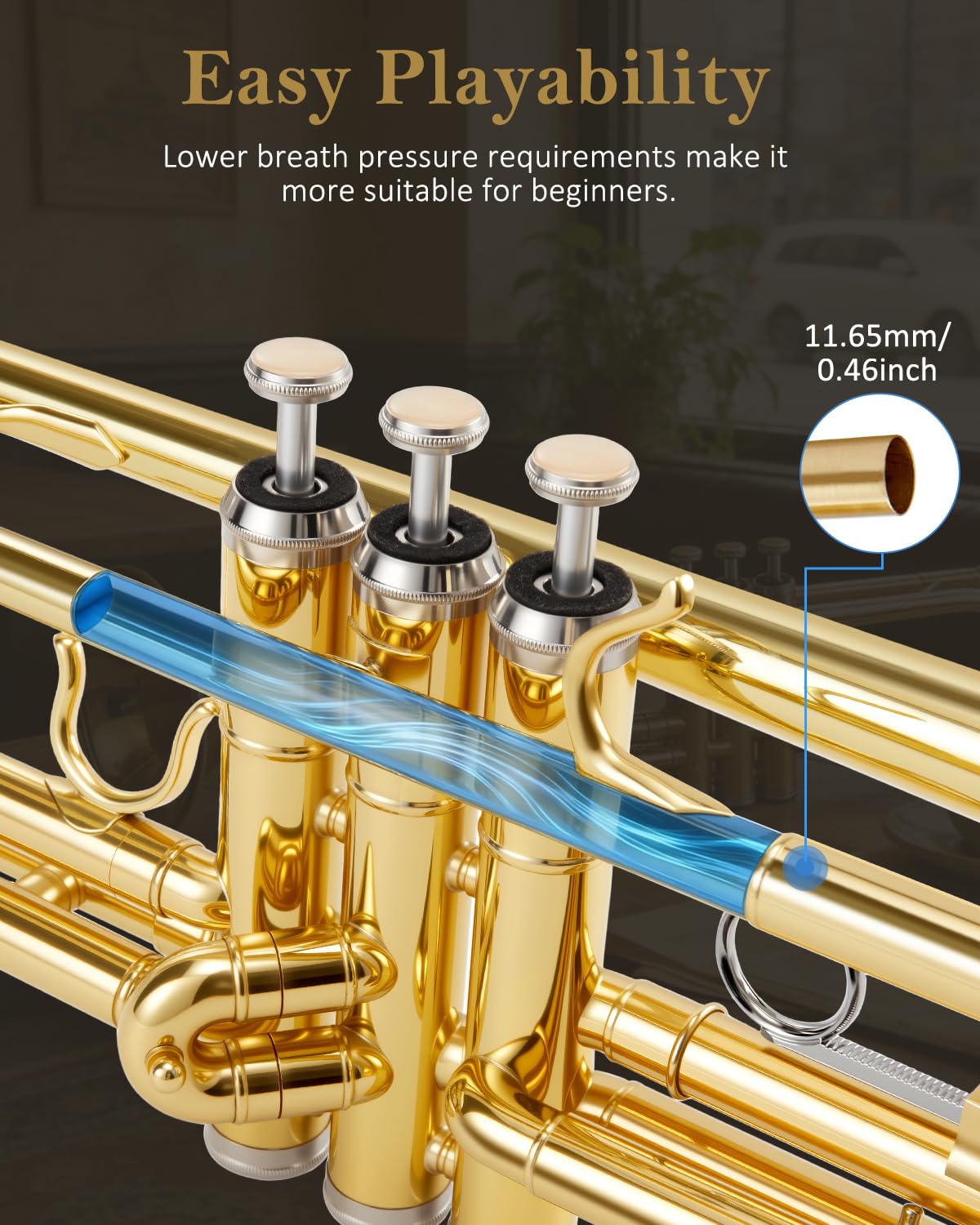 Bb Standard Trumpet Set Y96299