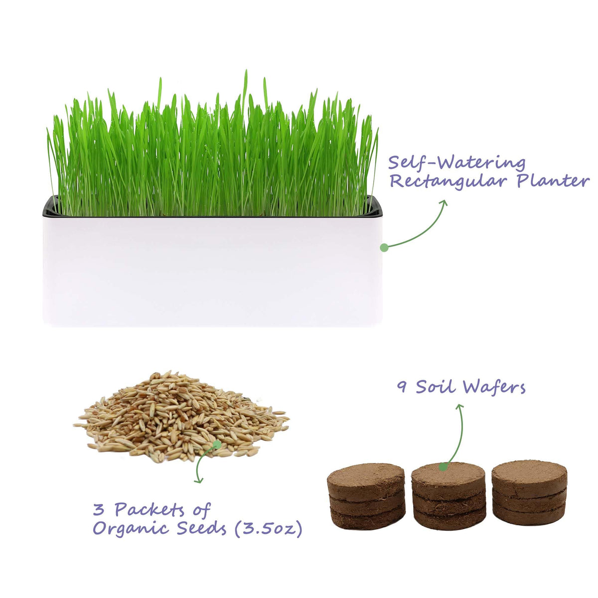 Indoor Cat Grass with Organic Seed Mix Rectangular Planter F64605