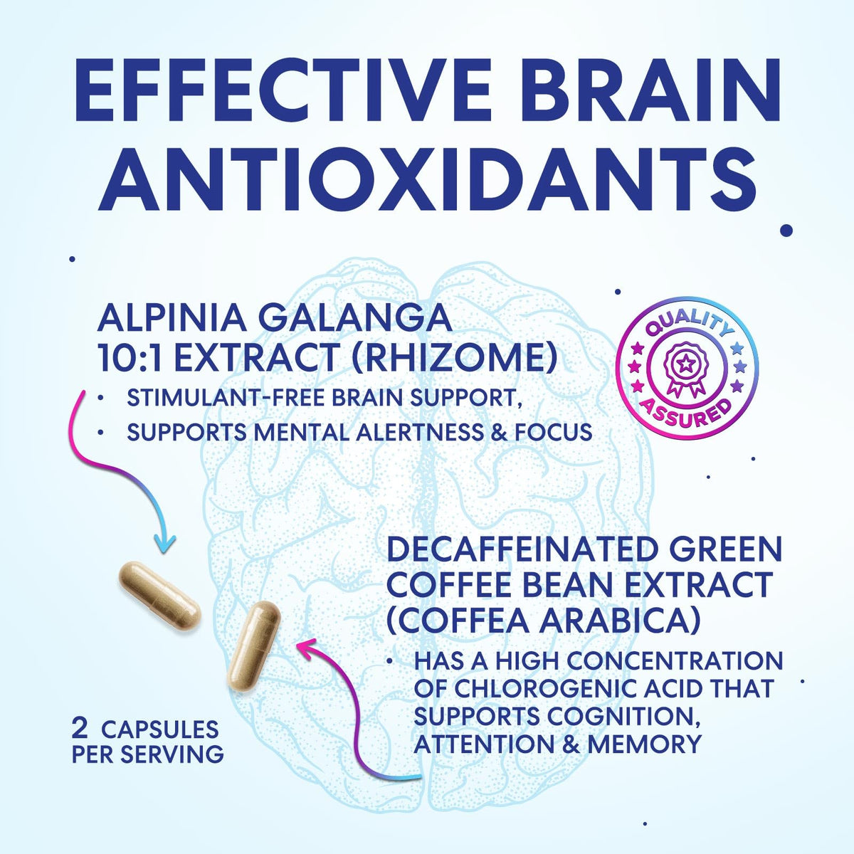 120 Capsules Brain Memory Supplement with Vitamin B6 B12 Folate & Phosphatidylserine F495651