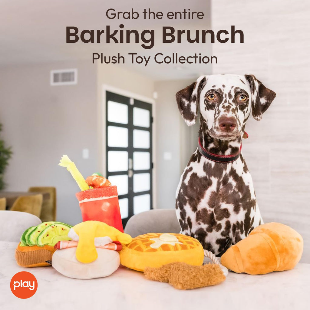 Plush Dog Chew Toy R790871