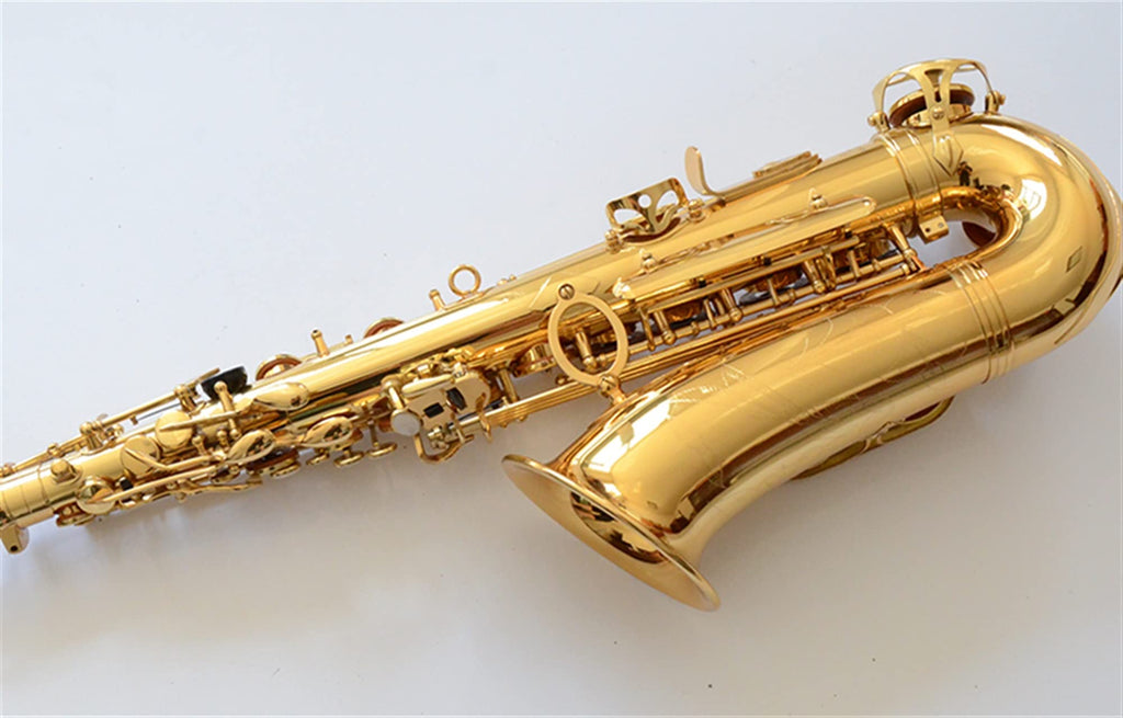 Alto Saxophone Set with Mouth Piece Reed R988