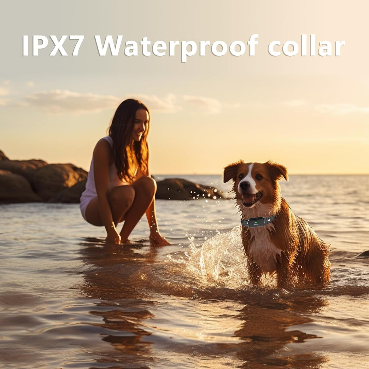 Wireless Dog Fence & Training Collar for 2 Dogs, IPX7 Waterproof, Black L797854