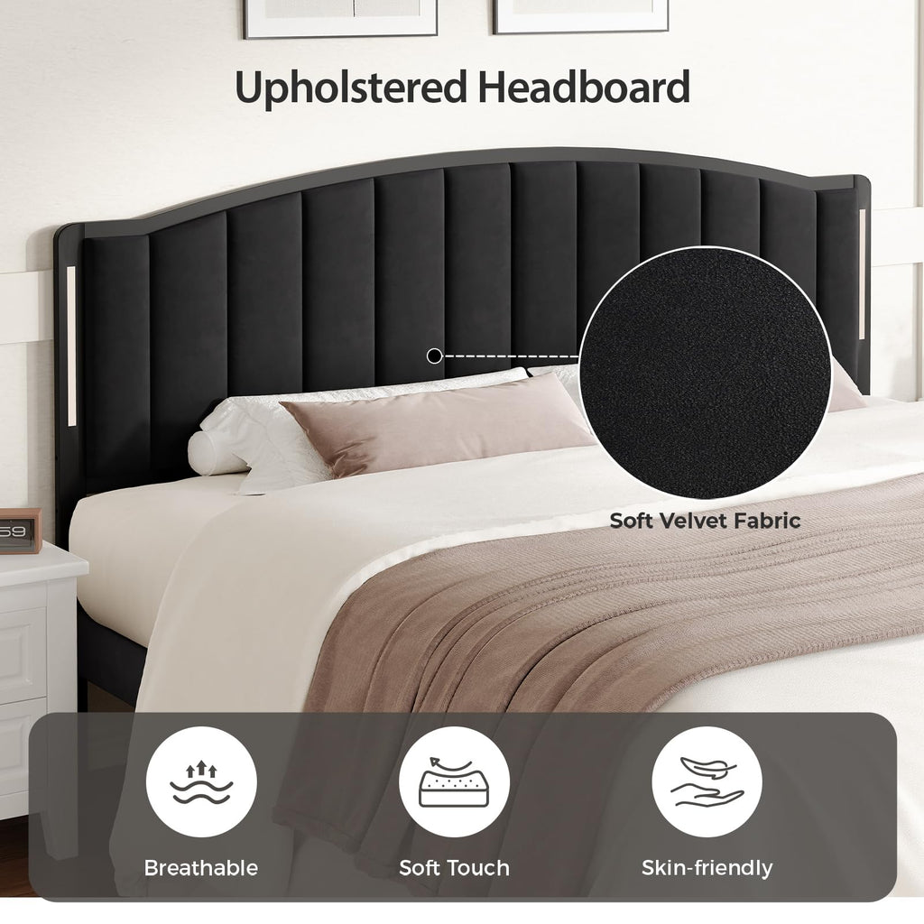 Upholstered Tufting Headboard Queen Size with Lights R859