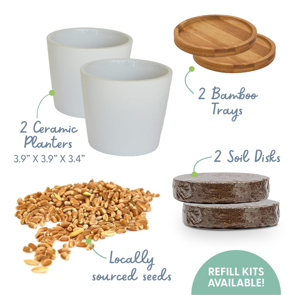 Organic Cat Grass Growing Kit with Seed, Soil and Two Ceramic Planters W374904