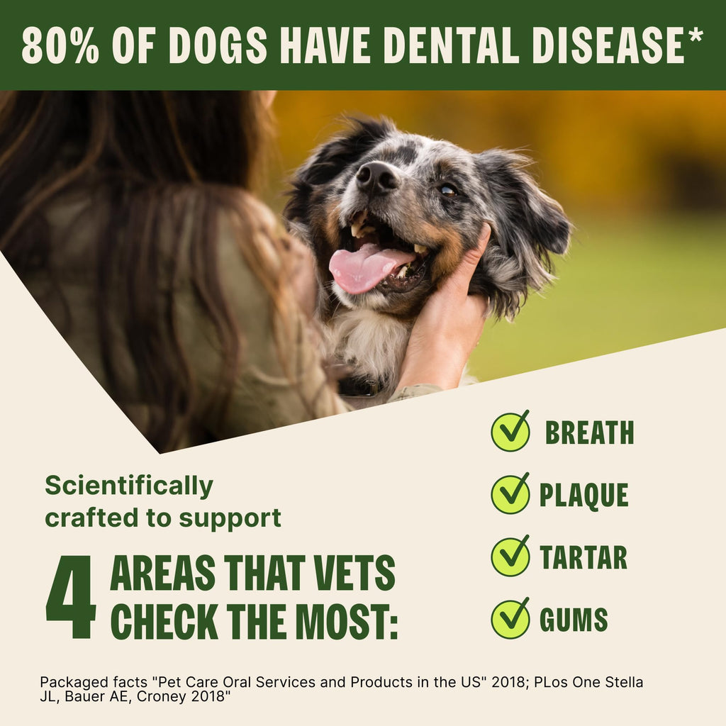 Natural Dog Dental Treat Chews Small Size Sticks 14.81 oz Bag 28 Count B316