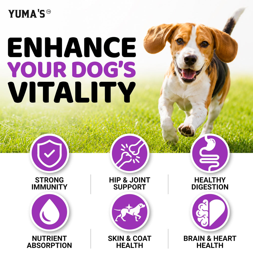 Dog Multivitamin with Glucosamine, 240 Treats N4785