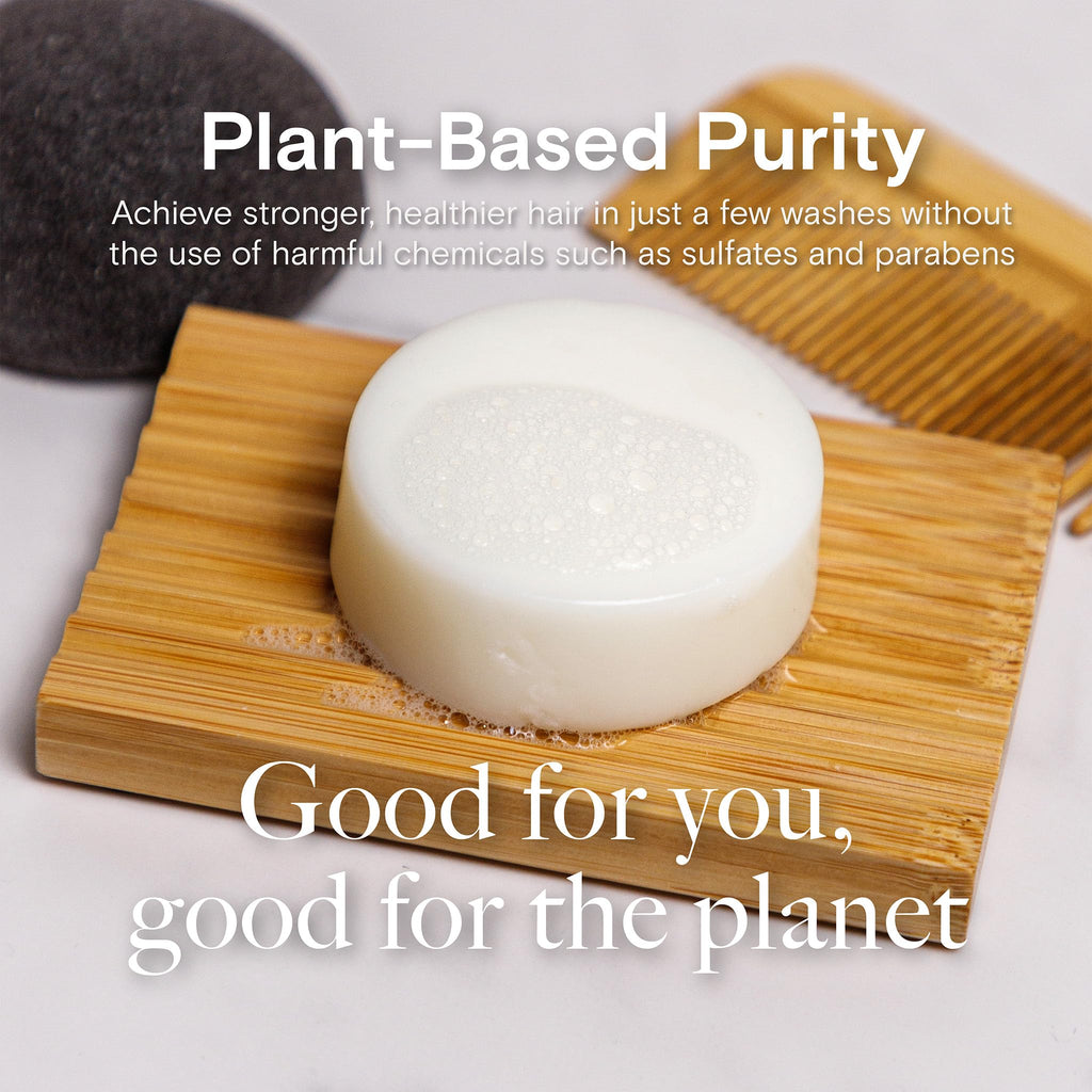 Bamboo Coconut Shampoo and Conditioner Bar Set G716
