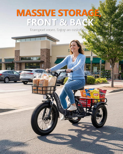 20" Fat Tire 1000W 48V Step-Thru Electric Tricycle with Basket O760
