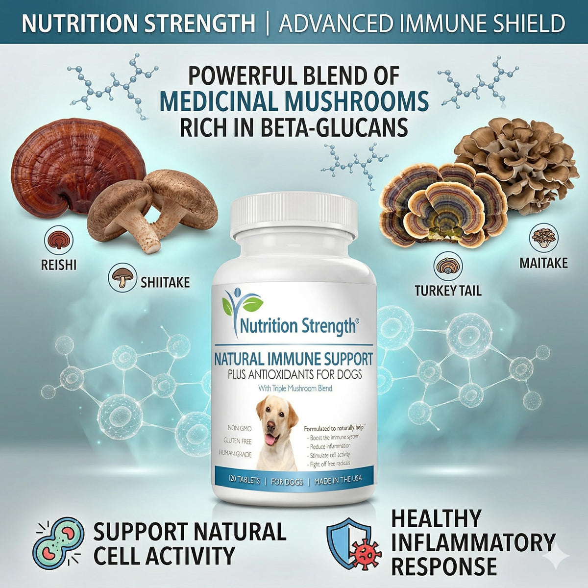 Immune Support for Dogs 120 Chewable Tablets J40498