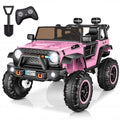 24V 2 Seater Pink Ride On Car P3857