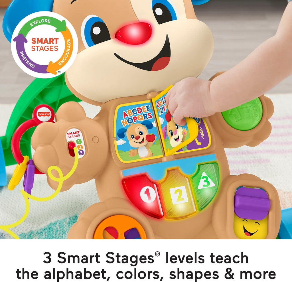 Interactive Puppy Walker O99547