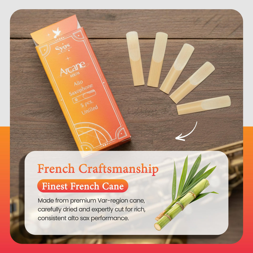 Alto Saxophone Reeds 2.5 French Cane Box of 5 T908