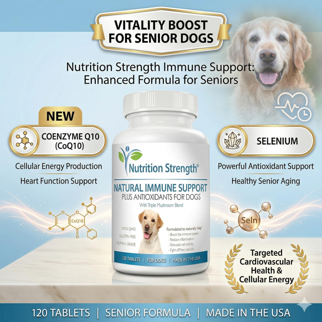 Immune Support for Dogs 120 Chewable Tablets J40498