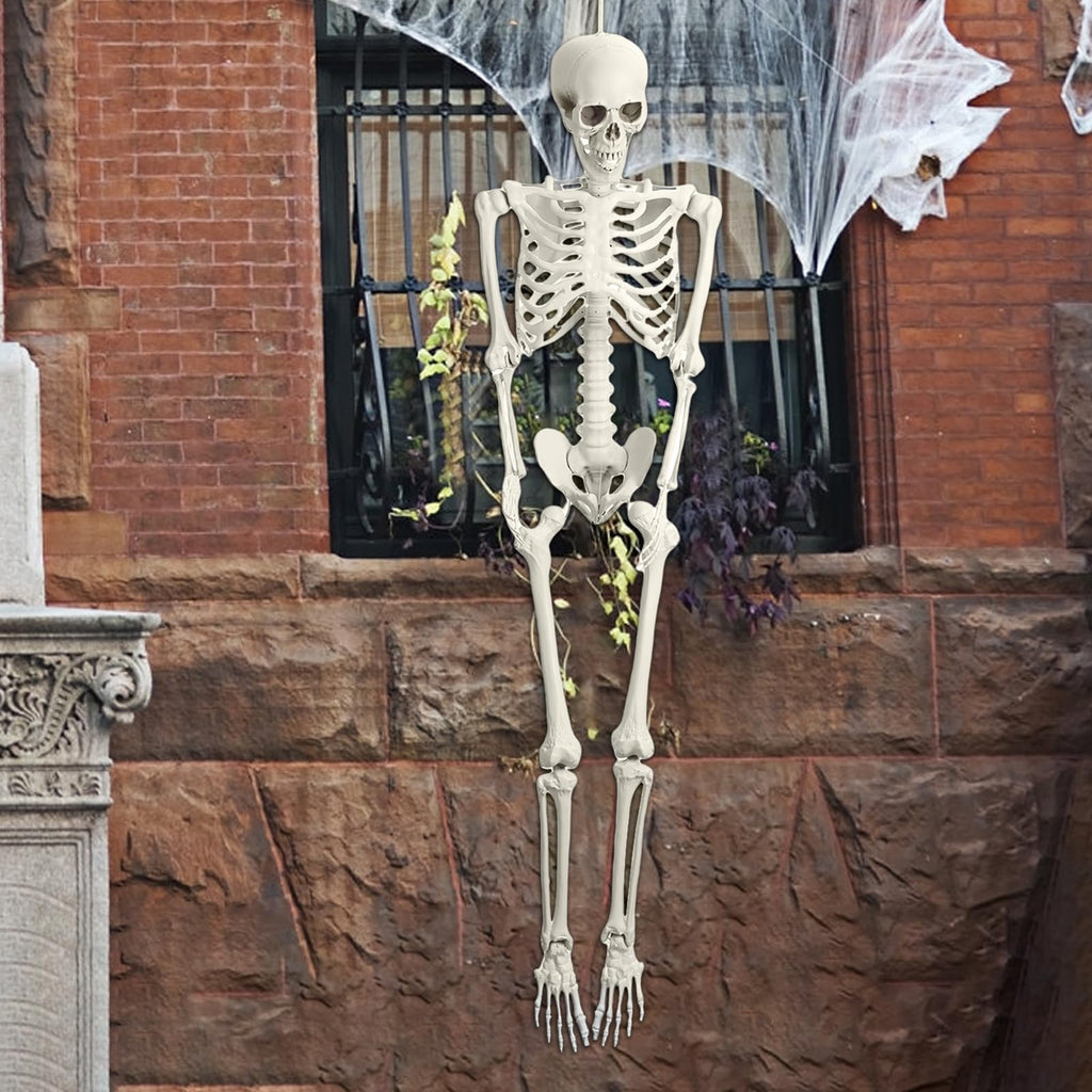 Life Size Poseable Skeleton with Movable Joints G7249