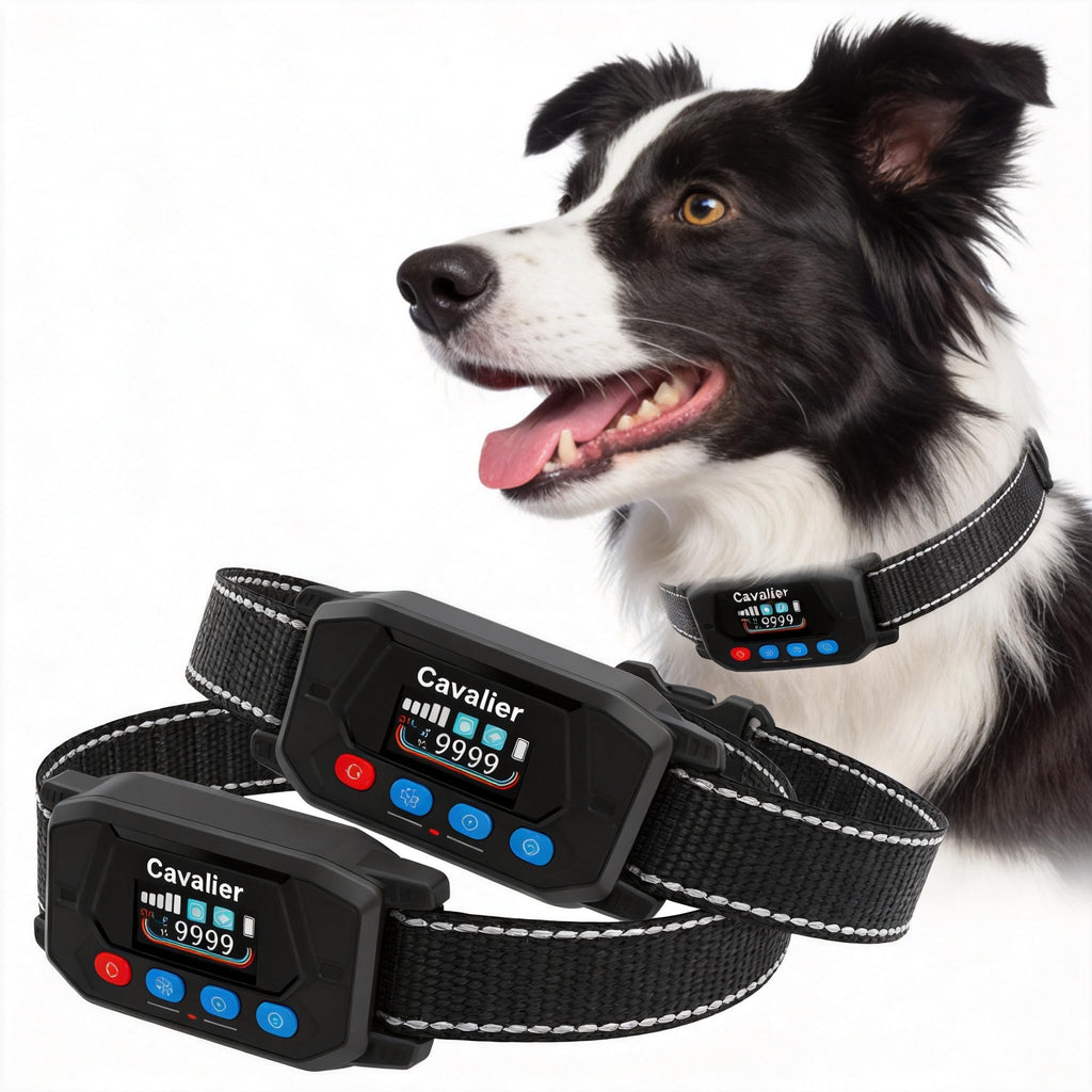 GPS Wireless Dog Fence System with 2 Collar G96452