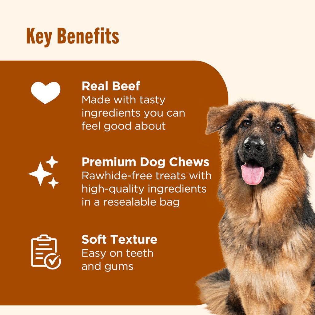 Beef Dog Chews 23.1 oz R538