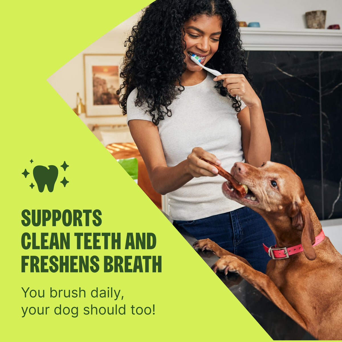 Natural Dog Dental Treat Chews Small Size Sticks 14.81 oz Bag 28 Count B316