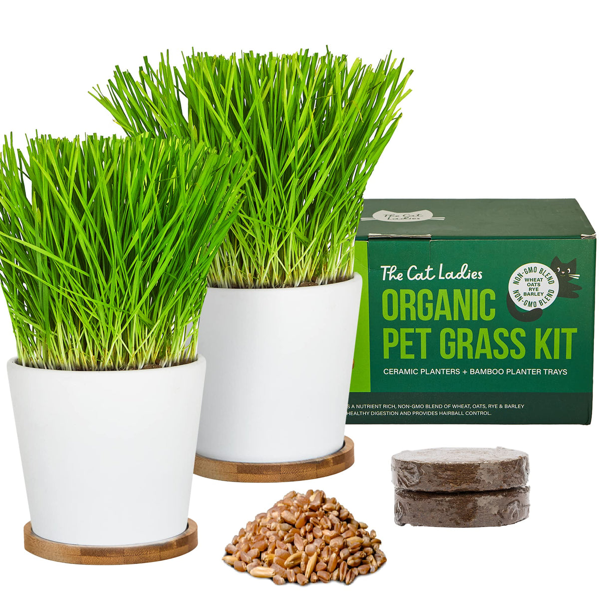 Organic Cat Grass Growing Kit with Seed, Soil and Two Ceramic Planters W374904