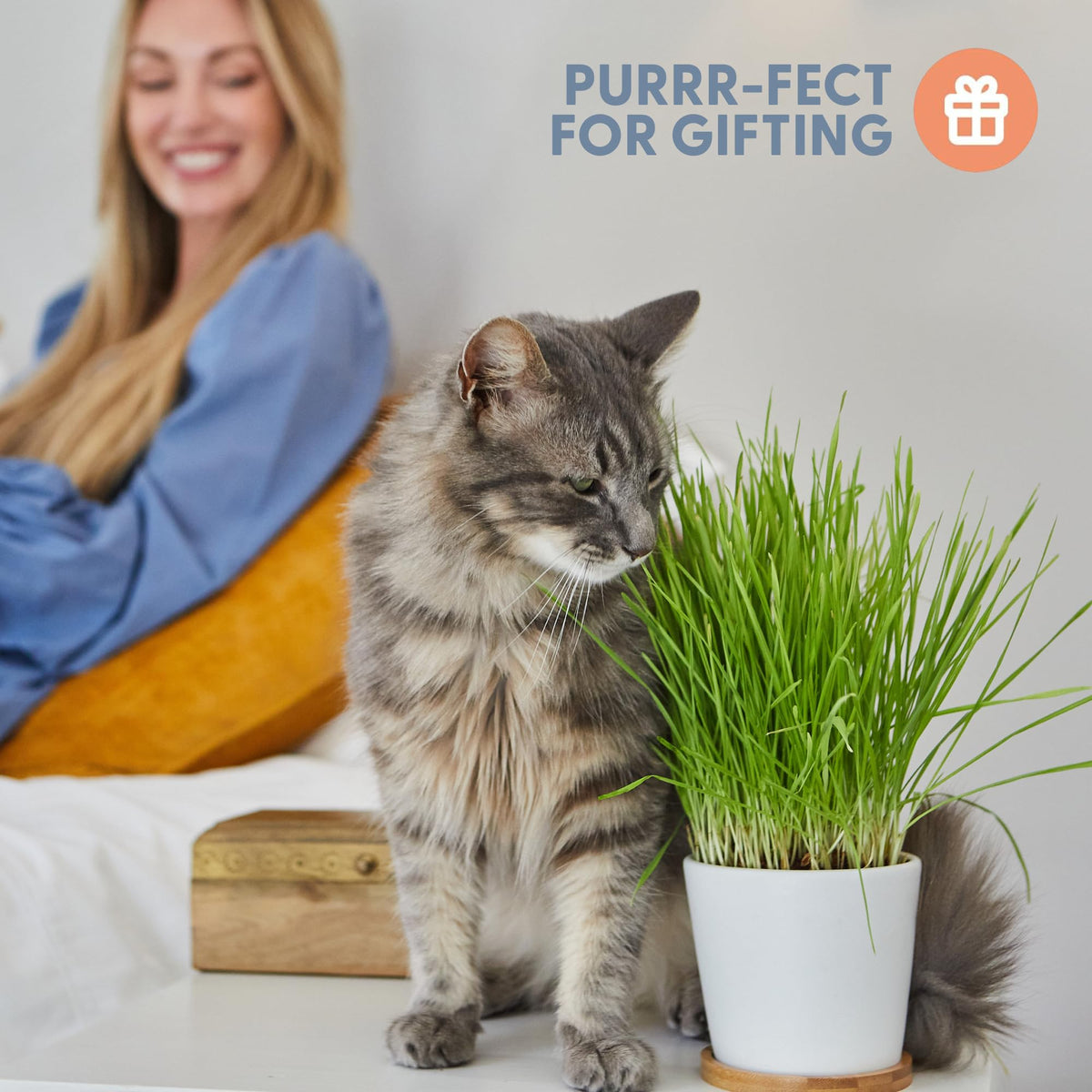 Organic Cat Grass Growing Kit with Seed, Soil and Two Ceramic Planters W374904