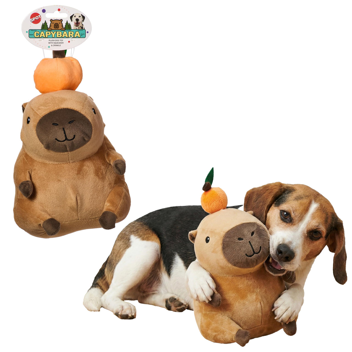 Soft Stuffed Squeaky Crinkle Capybara Dog Toy 8 Inch B784