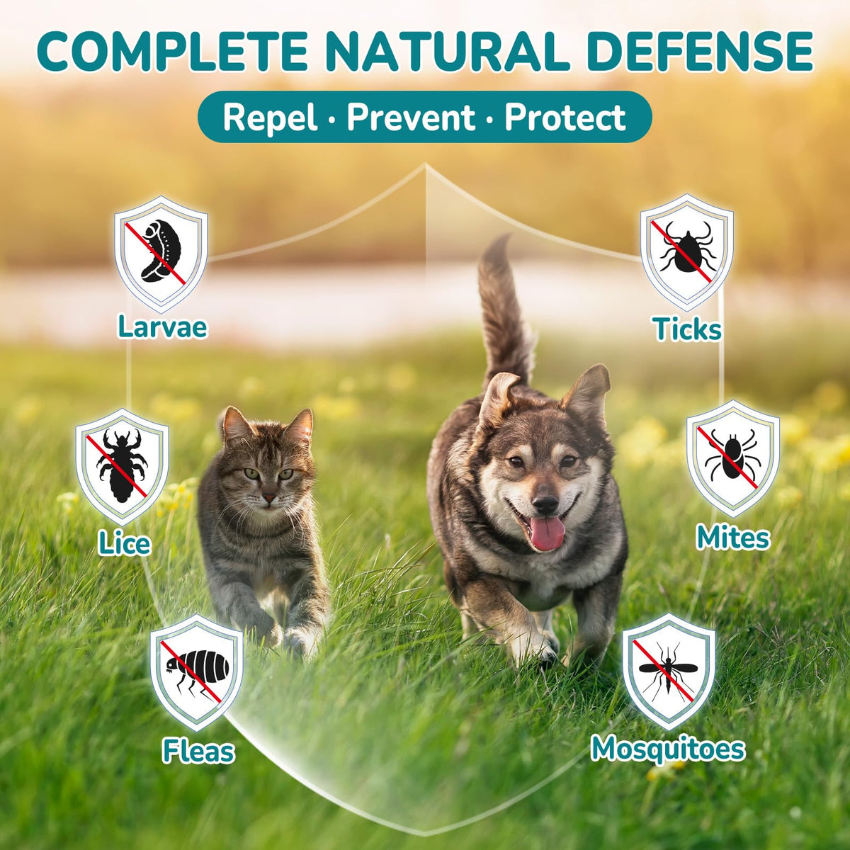 Natural Flea & Tick Prevention Bundle for Cats & Dogs, 200 Chews + Herbal Drops T913528