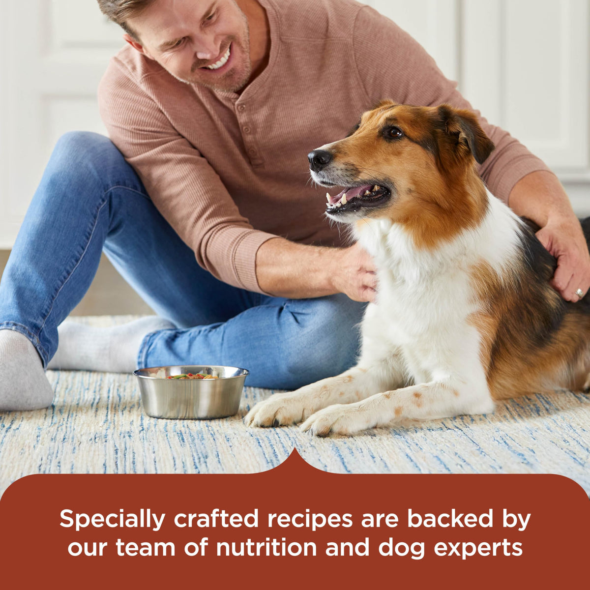 Savory Favorites Wet Dog Food Variety Pack, 8 oz Tubs R56752