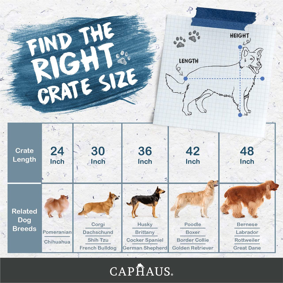 Foldable Wire Metal Dog Crate with Leak-Proof Pan A474