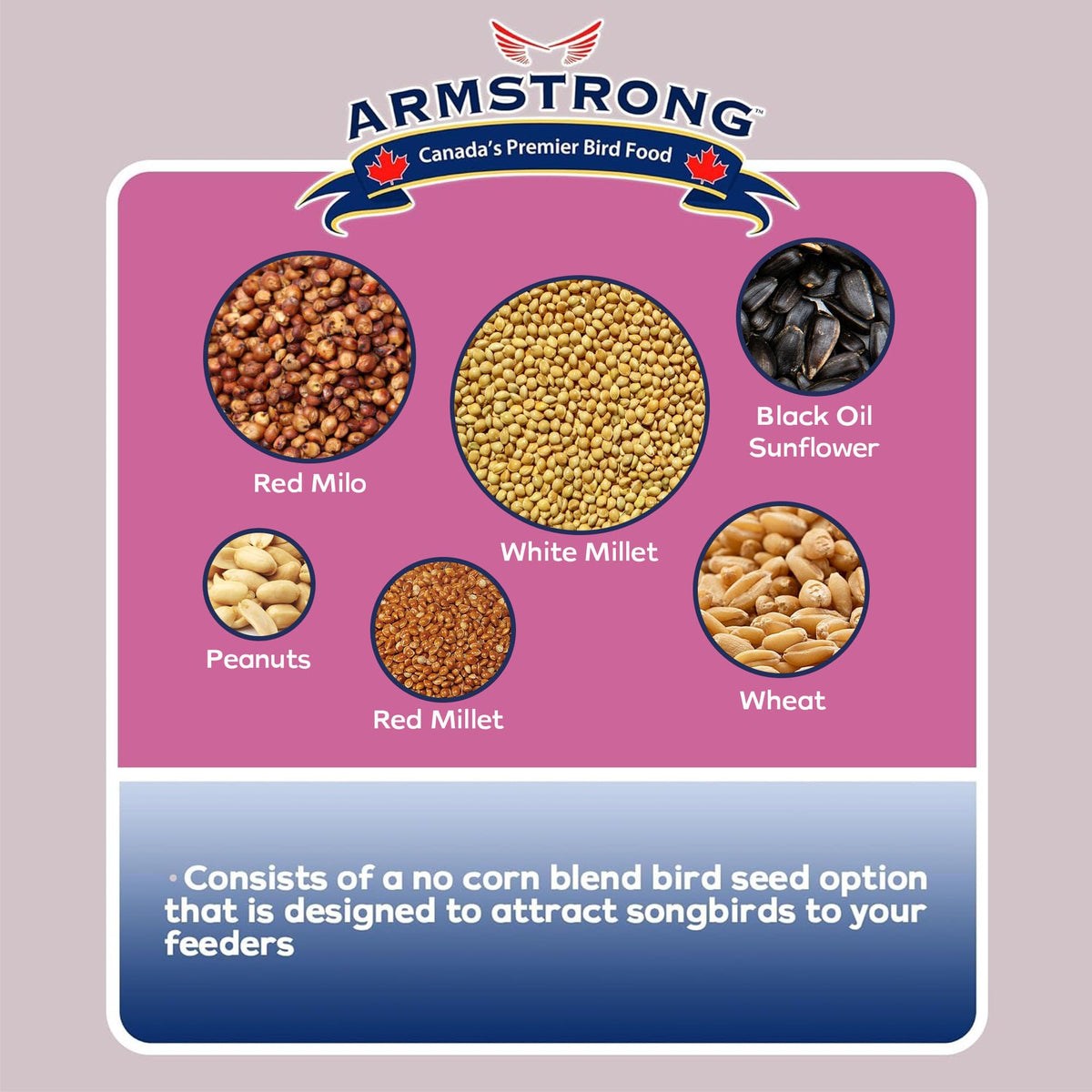 Wild Bird Food Ultra Blend 20 Pound Pail W174