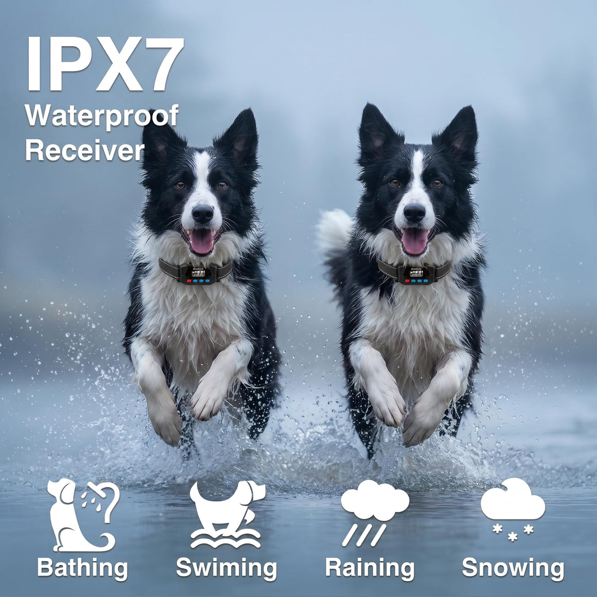 GPS Wireless Dog Fence System with 2 Collar G96452