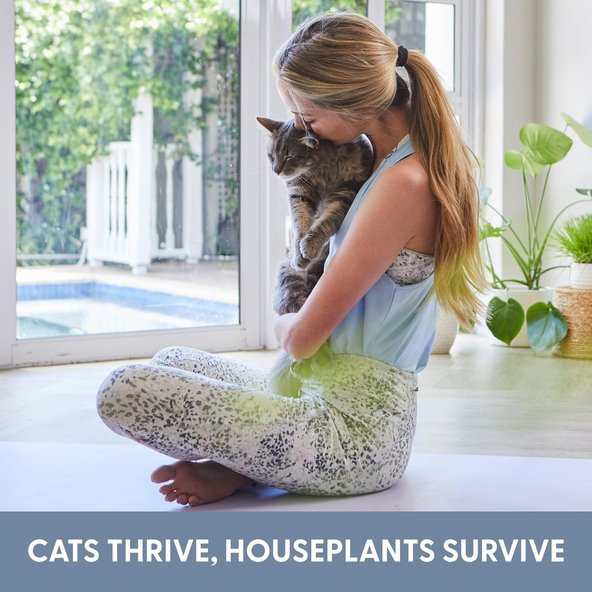 Organic Cat Grass Growing Kit with Seed, Soil and Two Ceramic Planters W374904