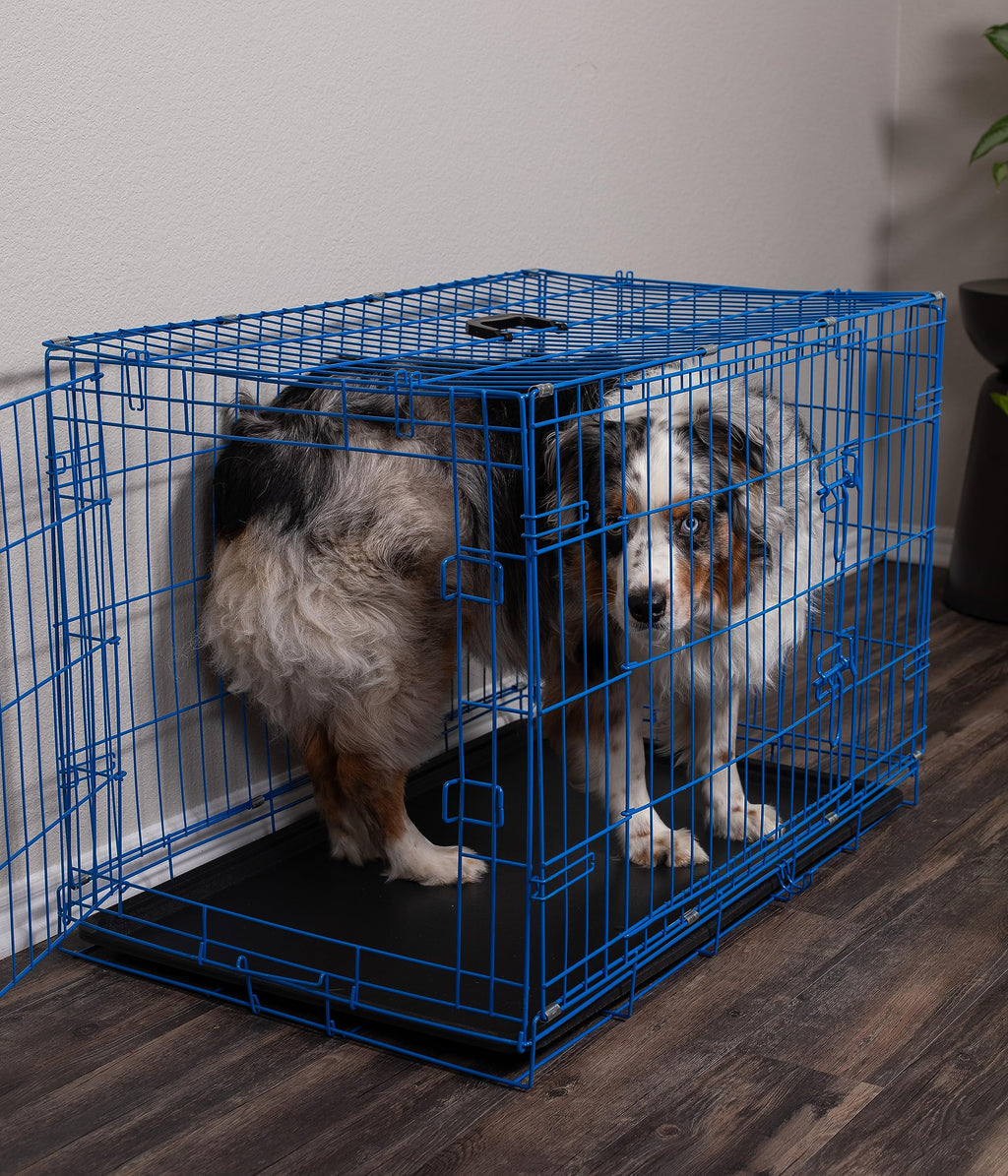 Medium 36 Inches Double Door Metal Steel Dog Kennel K52049